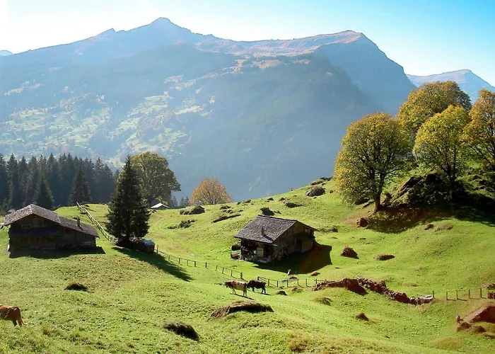 Abendrot Apartments-10 By Interhome Appartement